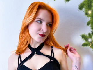 DingaLive Webcam