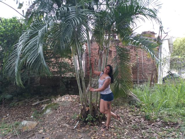 PauletteLove - Sexe cam en vivo - 10523199