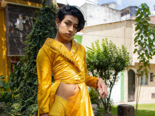 AlexixTS - Sexe cam en vivo - 11431456