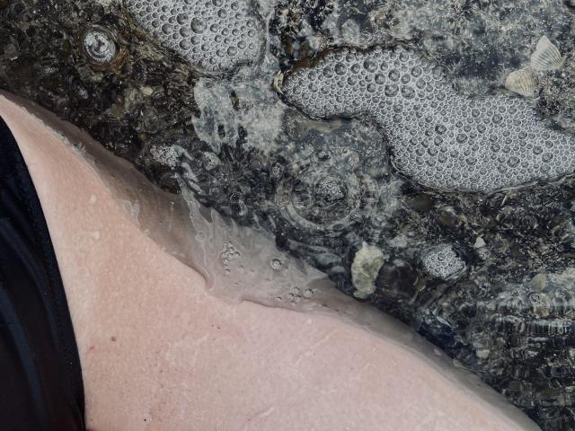 Solleil - Sexe cam en vivo - 12696008