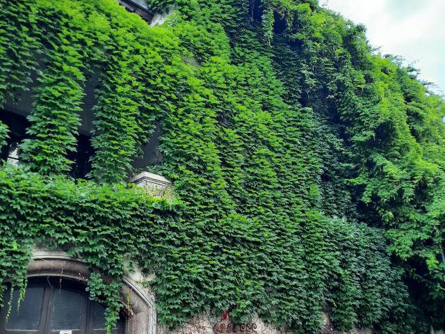 SoniaTestX - Sexe cam en vivo - 12985628