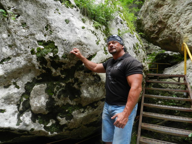 ApolloFlame - Sexe cam en vivo - 13072872