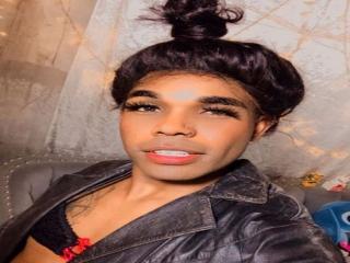 BlackExoticHot - Live Sex Cam - 13374120