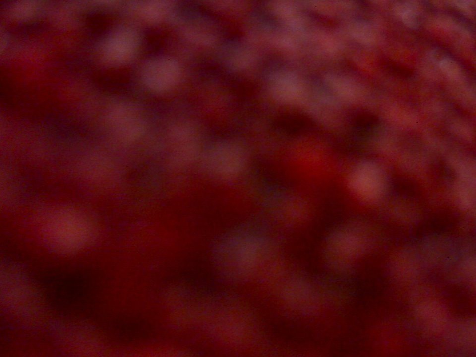 laura101 - Sexe cam en vivo - 13540260