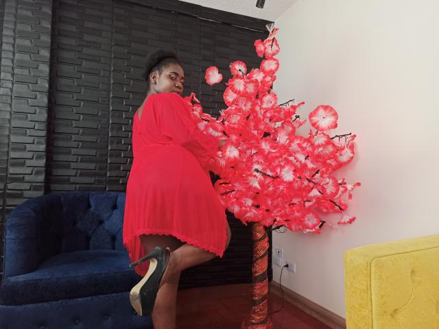 Dilay - Live Sex Cam - 14006352