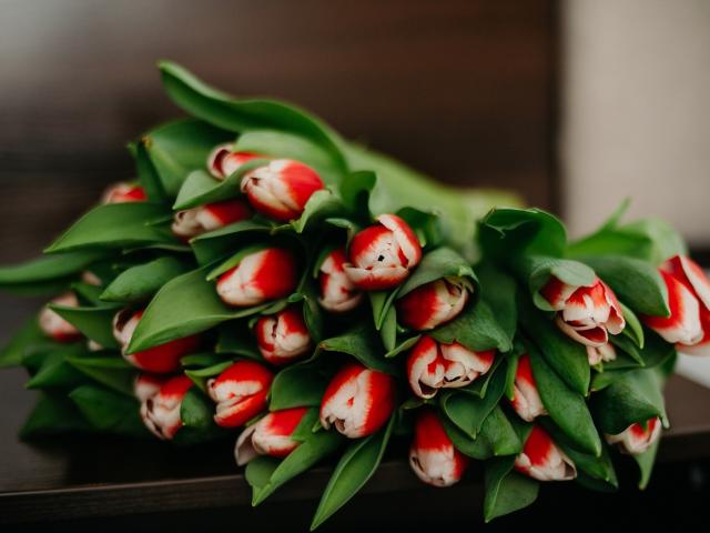 KaleyReed - Live sex cam - 15452398