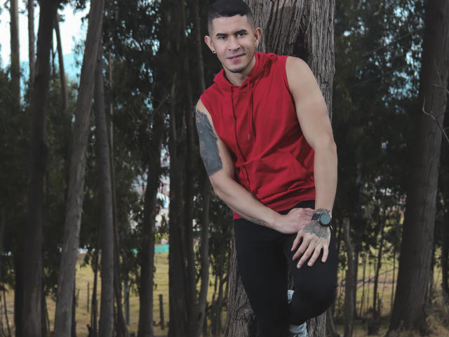 DavidStark - Sexe cam en vivo - 15914758