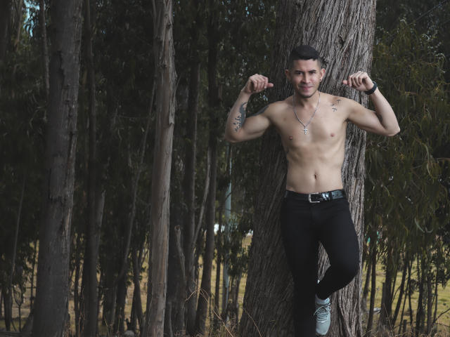 DavidStark - Live Sex Cam - 15947638