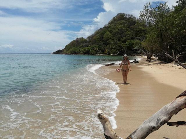 VictoriaFenice - Sexe cam en vivo - 16233022