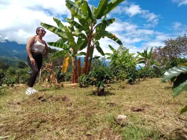 AlyssaSummers - Live sex cam - 16616534