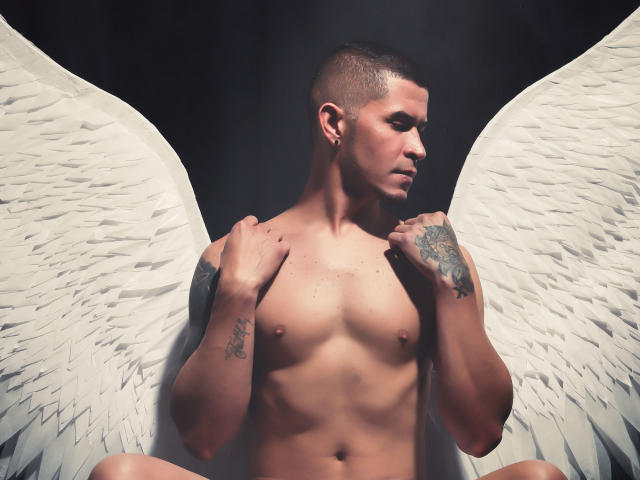 DavidStark - Sexe cam en vivo - 16713290