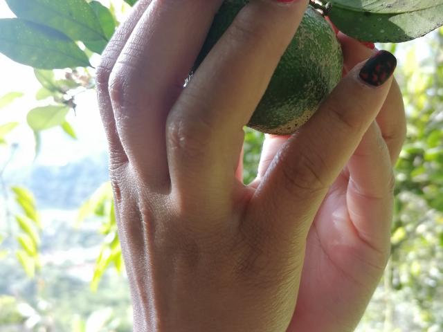 VioletaSwitch - Sexe cam en vivo - 16803222