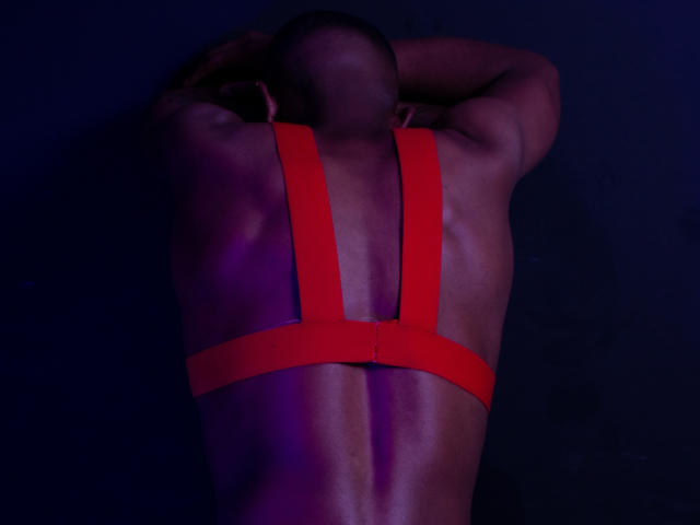 SteveJamison - Live Sex Cam - 16832542