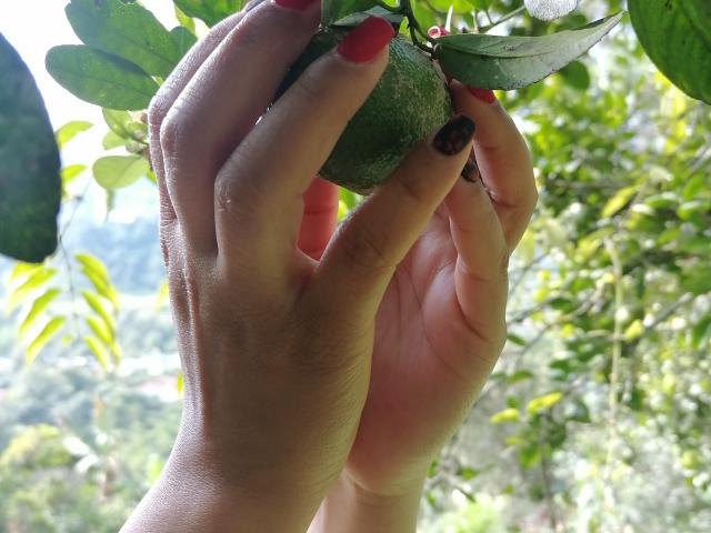 VioletaSwitch - Live sex cam - 16873526