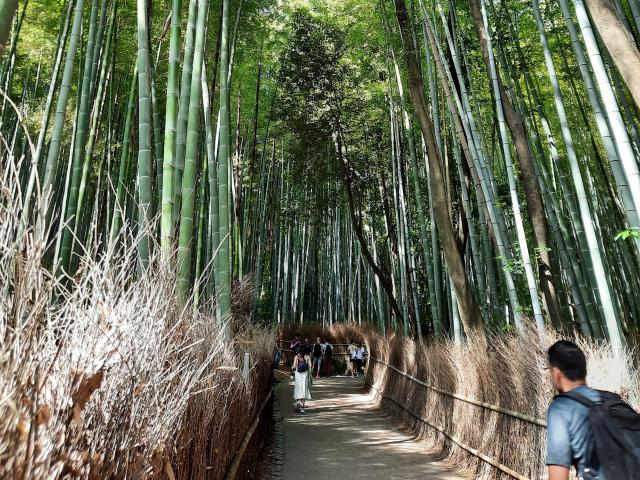 SuperbissimaTroiana - Sexe cam en vivo - 17282910