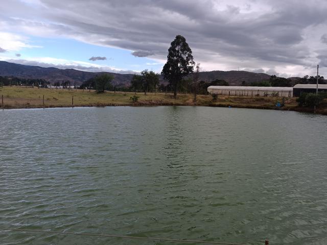 VaaleryStark - Live porn &amp; sex cam - 17348942