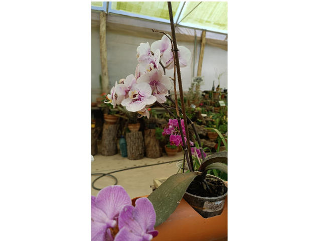 VaaleryStark - Live porn &amp; sex cam - 17349326