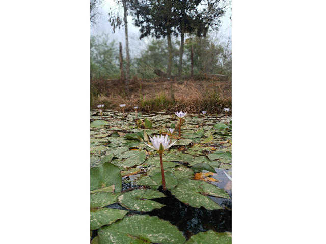 VaaleryStark - сексуальная веб-камера в реальном времени - 17349342