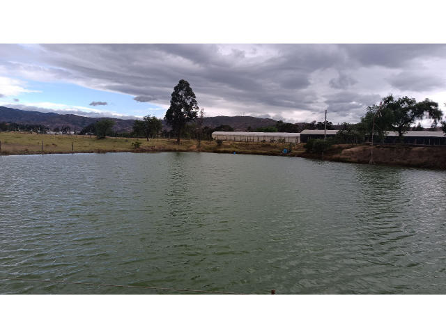 VaaleryStark - Live porn &amp; sex cam - 17349350