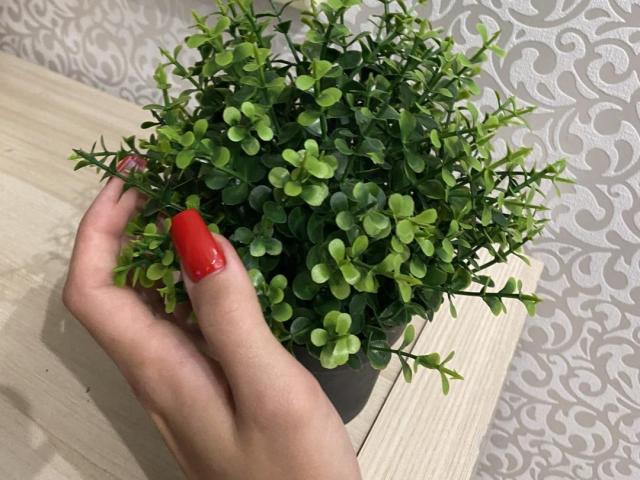 Blumi - Live sex cam - 17500590