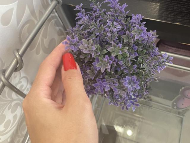 Blumi - Sexe cam en vivo - 17500698