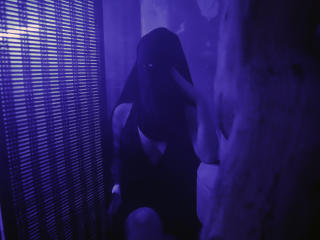 NoraArabic - Live Sex Cam - 18029986