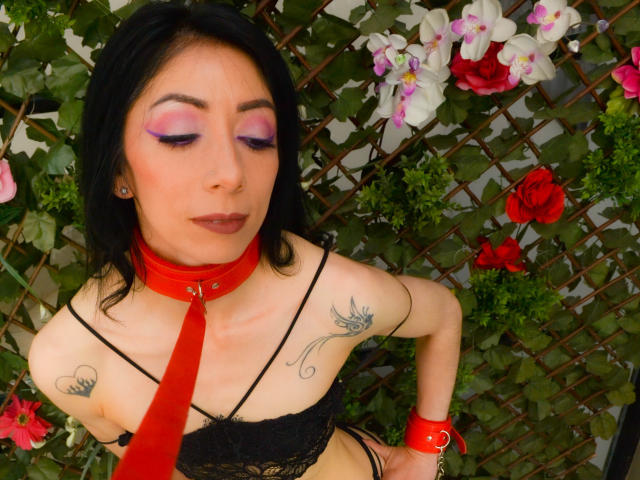RouseFerrer - Live porn &amp; sex cam - 18234426