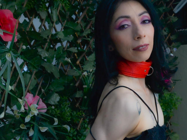 RouseFerrer - Live Sex Cam - 18234478