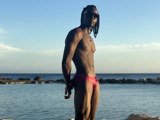RastaStallion - Live sex cam - 18342486