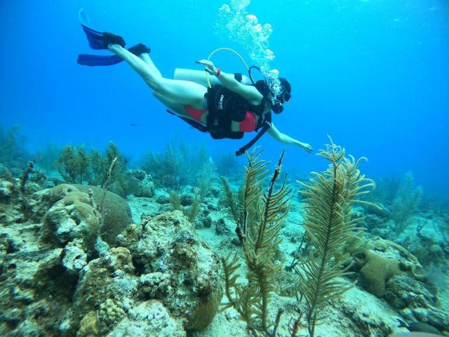 PaulinaValley - Live porn &amp; sex cam - 18458170