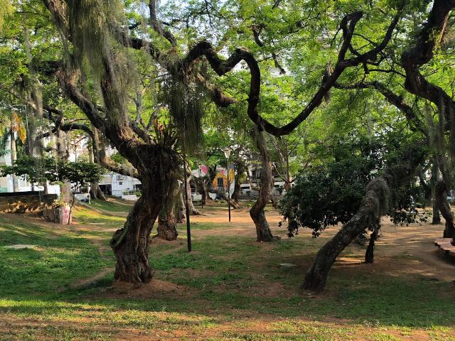 KimSummer - Live sexe cam - 20075474