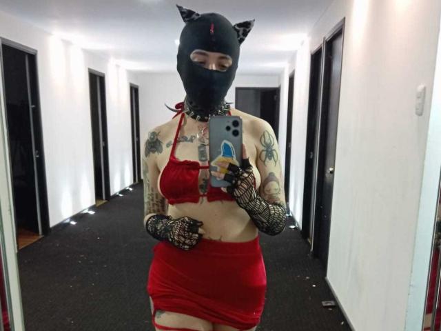 AmySpider - Live Sex Cam - 20105638