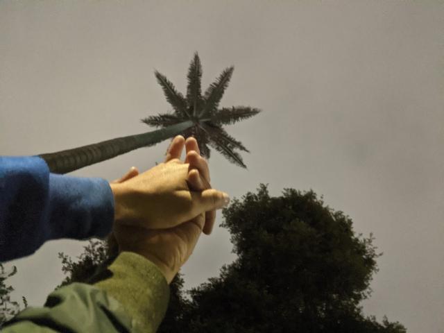 LyaFist - Sexe cam en vivo - 20251462