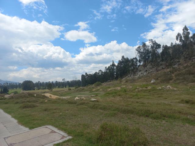 WendyBeckerX - Live sex cam - 20424526