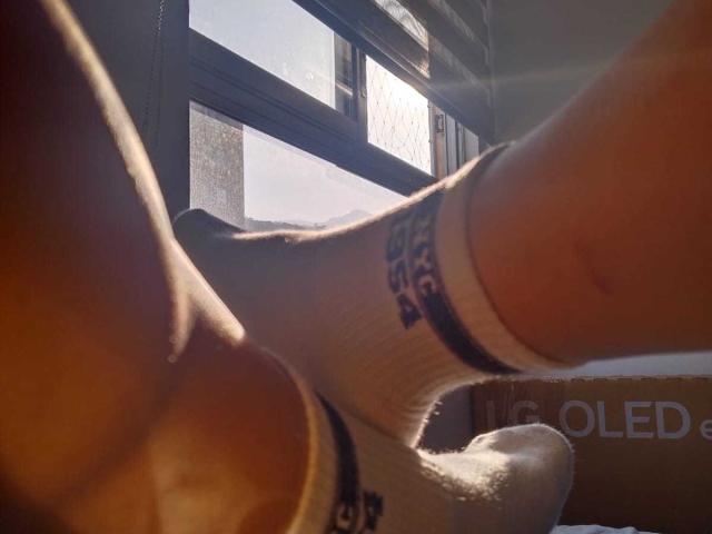 SomberSweetness - Live sex cam - 20478698