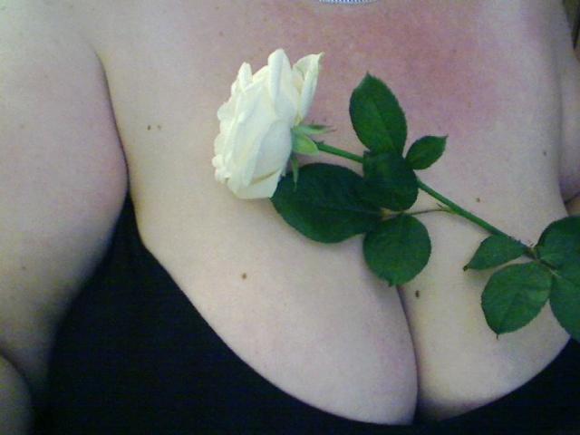 SECRET-CAM - Live porn &amp; sex cam - 20507626