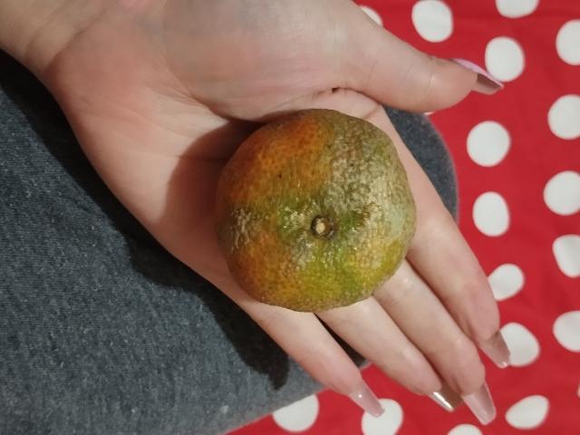 CocoVolkova - Live porn &amp; sex cam - 20770890