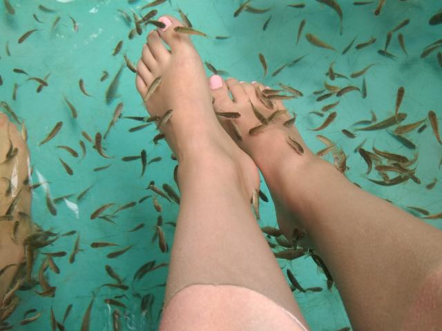 MonicaMiss - Camera khiêu dâm &amp; quyến rũ trực tiếp - 20870078