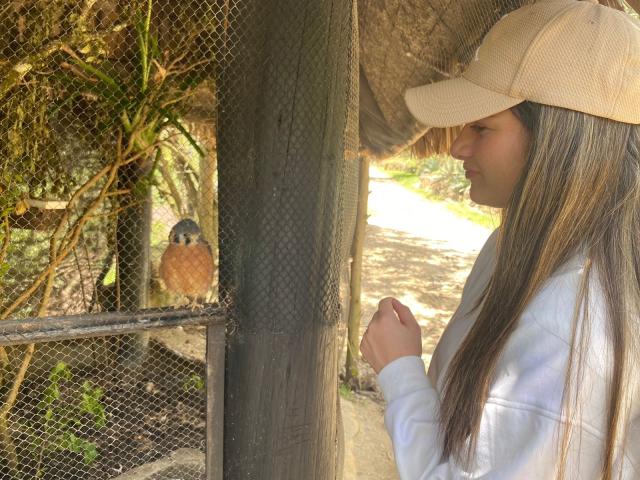 AtheneaRossi - Live sexe cam - 20956886