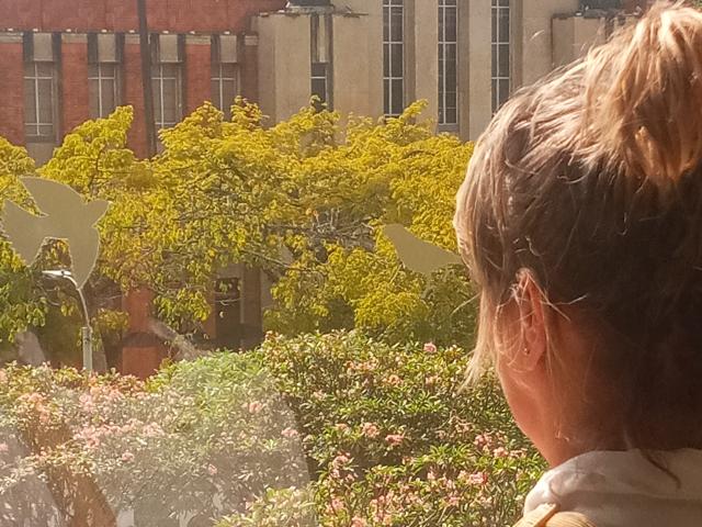 CoupleMature - Live sex cam - 21244726