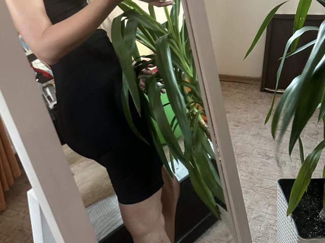 Stefanni - Live porn &amp; sex cam - 21586777