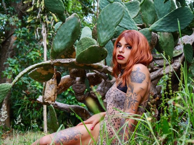 AlexJhonsons - Sexe cam en vivo - 21651661