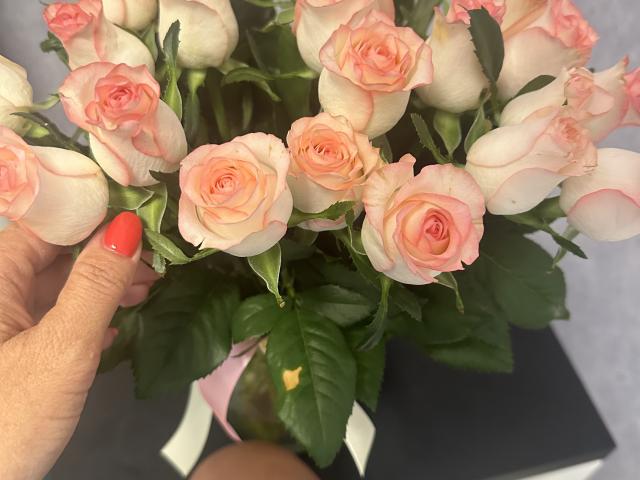 Stefanni - Live porn &amp; sex cam - 21790433