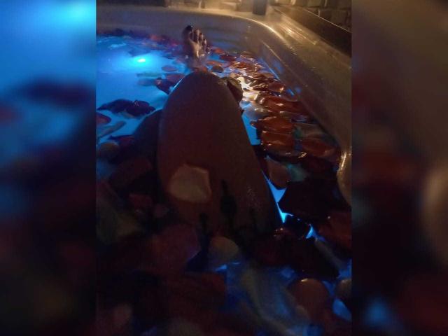 HikariChloe - Sexe cam en vivo - 22023861