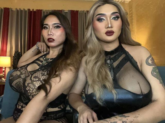 BigCumHuntersTS - Sexe cam en vivo - 22106941