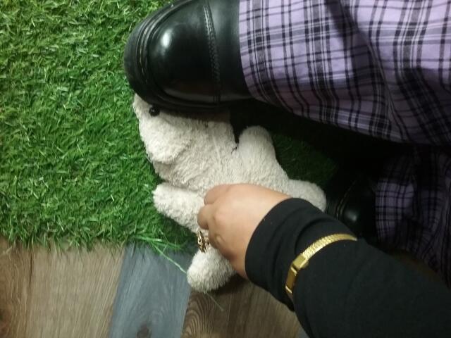 EskelaTheHuntress - Live sex cam - 22423537