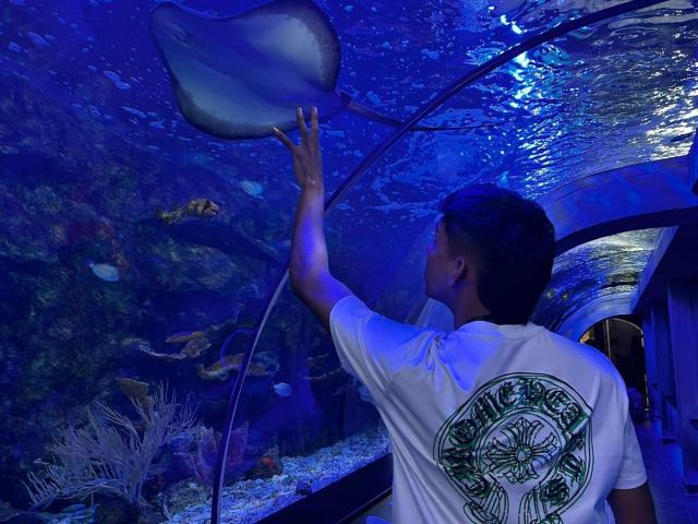 EdwinBlaze - Sexe cam en vivo - 22556061