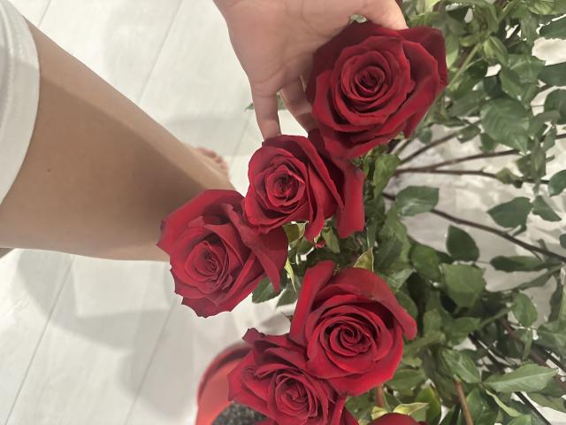 Stefanni - Sexe cam en vivo - 22598217