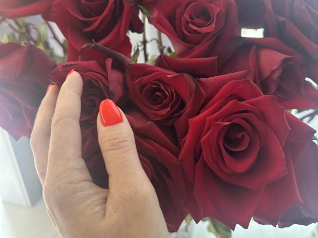 Stefanni - Sexe cam en vivo - 22685473