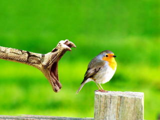 Test2 - Chat cam hot with this shaved sexual organ Female and male couple 